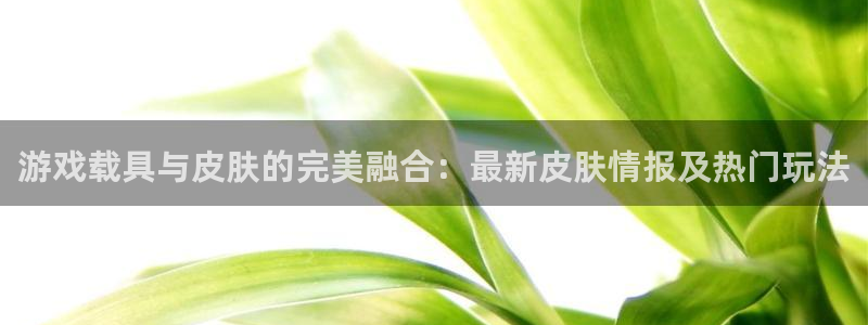 长征娱乐：游戏载具与皮肤的完美融合：最新皮肤情报及热门玩法