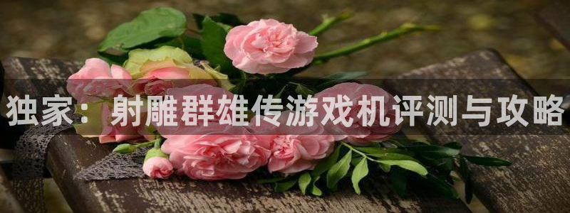 长征娱乐app下载：独家：射雕群雄传游戏机评测与攻略