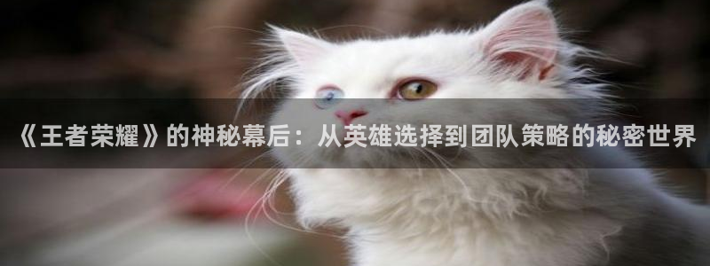 长征娱乐测速登陆：《王者荣耀》的神秘幕后：从英雄选择到团队策