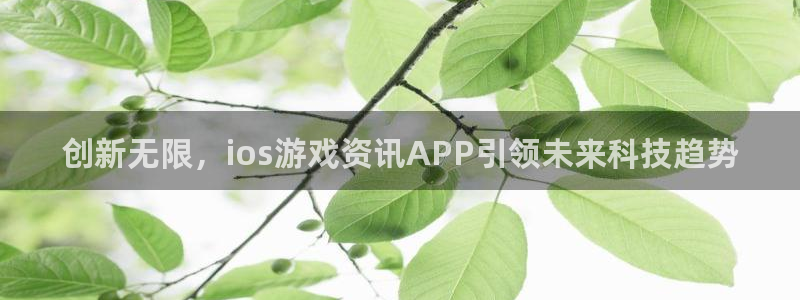 长征娱乐登陆地址：创新无限，ios游戏资讯APP引领未来科技