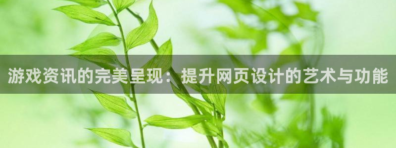 长征娱乐直属：游戏资讯的完美呈现：提升网页设计的艺术与功能