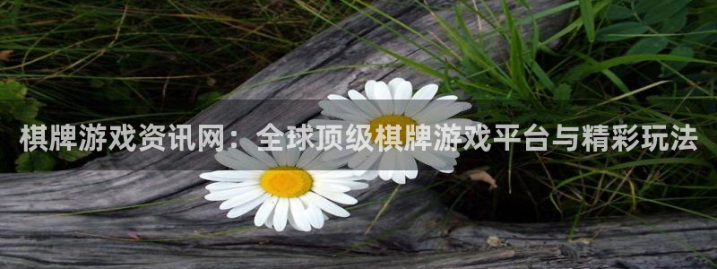 长征娱乐网页登录入口官网：棋牌游戏资讯网：全球顶级棋牌游戏平