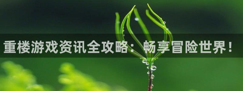 长征娱乐登录：重楼游戏资讯全攻略：畅享冒险世界！