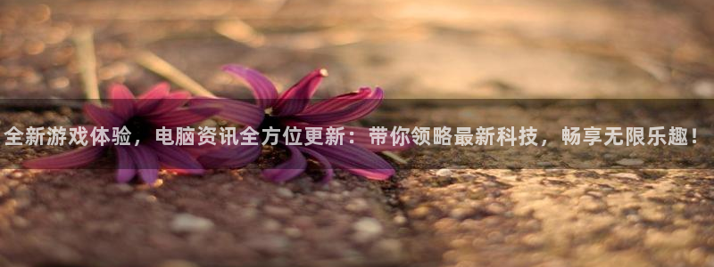 长征娱乐代理登陆：全新游戏体验，电脑资讯全方位更新：带你领略