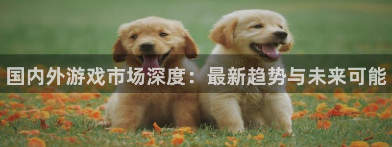长征娱乐注册服务条款：国内外游戏市场深度：最新趋势与未来可能
