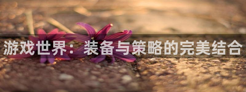 长征娱乐平台注册:游戏世界:装备与策略的完美结合