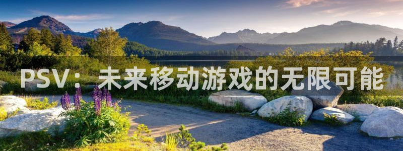 长征娱乐注册服务条款：PSV：未来移动游戏的无限可能