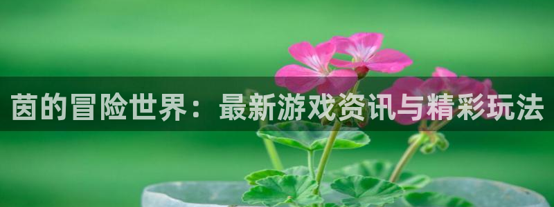 长征娱乐注册网站：茵的冒险世界：最新游戏资讯与精彩玩法