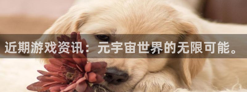 长征娱乐官网网页入口网址