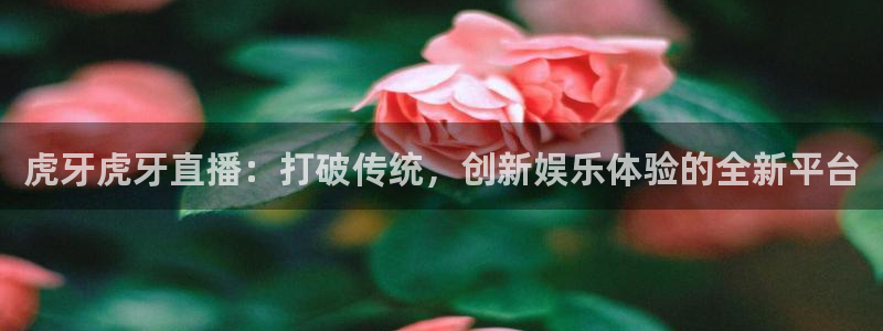 919体育：虎牙虎牙直播：打破传统，创新娱乐体验的全新平台