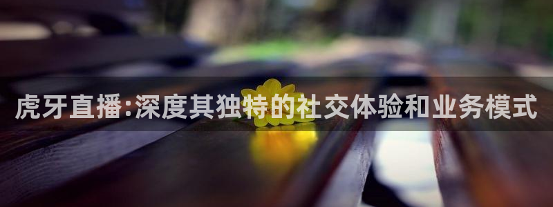 919 直播：虎牙直播:深度其独特的社交体验和业务模式