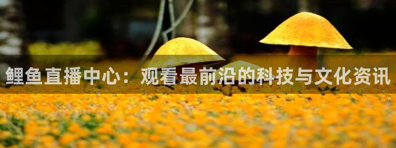 919看球直播官网入口：鲤鱼直播中心：观看最前沿的科技与文化资讯