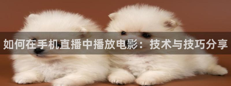 919直播平台官方网站：如何在手机直播中播放电影：技术与技巧分享