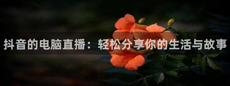 nba直播在线观看919：抖音的电脑直播：轻松分享你的生活与故事