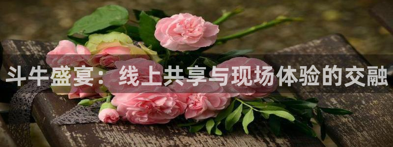 919体育直播下载：斗牛盛宴：线上共享与现场体验的交融