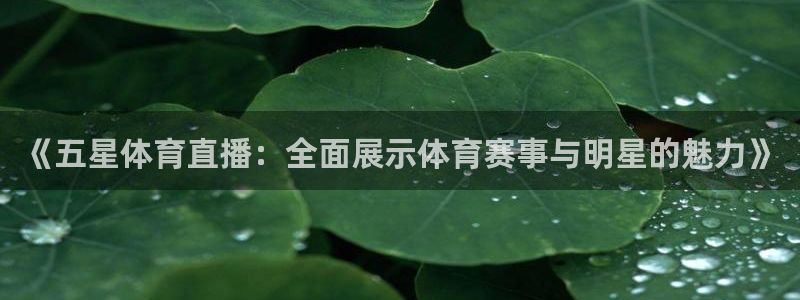 919nba直播篮球比赛：《五星体育直播：全面展示体育赛事与明星的魅力》