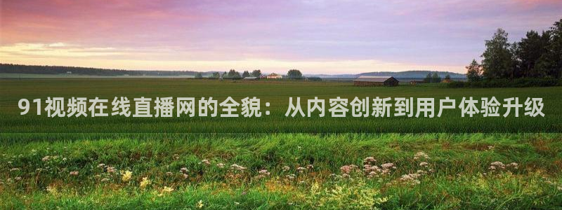 919直播间：91视频在线直播网的全貌：从内容创新到用户体验升级
