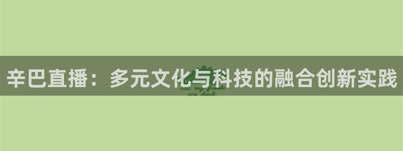 919体育直播高清在线观看：辛巴直播：多元文化与科技的融合创新实践