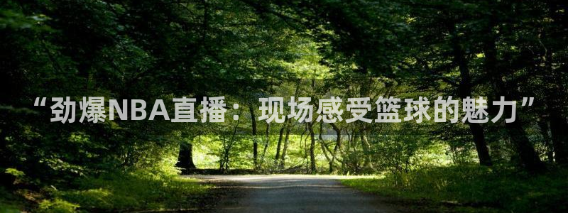 919直播看球下载：“劲爆NBA直播：现场感受篮球的魅力”