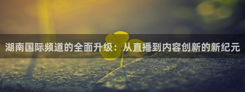 919看球直播：湖南国际频道的全面升级：从直播到内容创新的新纪元