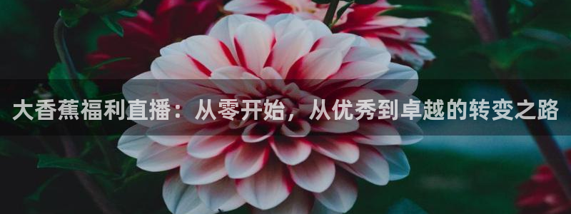 919直播看球 篮球比赛：大香蕉福利直播：从零开始，从优秀到卓越的转变之路