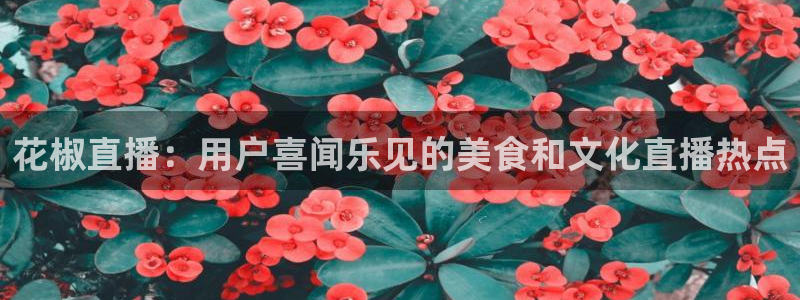 919直播看球app：花椒直播：用户喜闻乐见的美食和文化直播热点