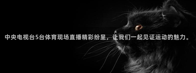 919看球软件：中央电视台5台体育现场直播精彩纷呈，让我们一起见证运动的魅力。